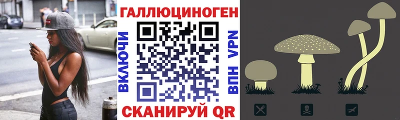 Галлюциногенные грибы GOLDEN TEACHER Куса