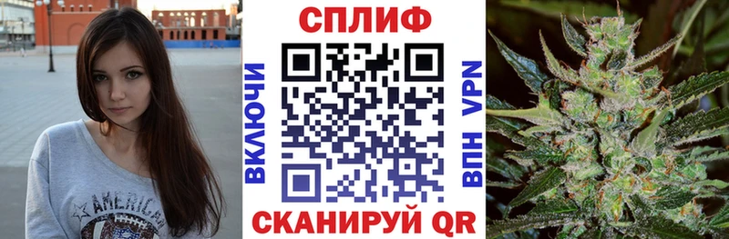 где купить наркоту  Куса  Шишки марихуана ГИДРОПОН 